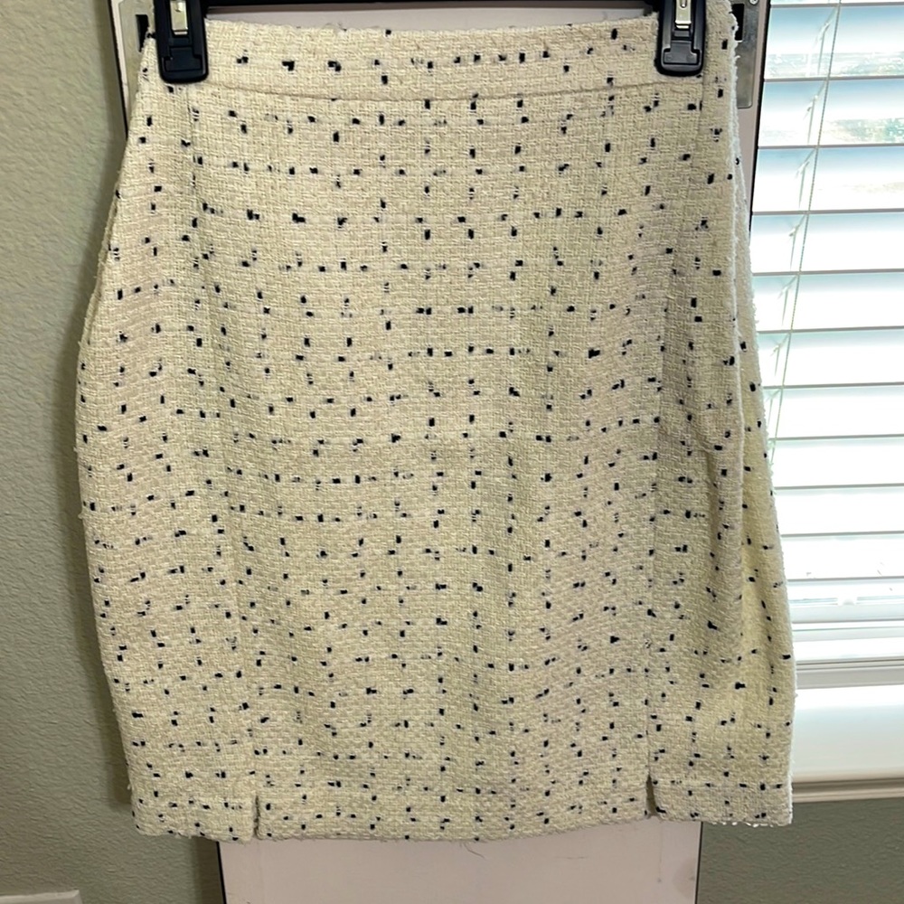 Ann Taylor Pencil Skirt